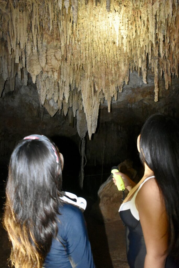 Cenotes, cuevas y abiertos.
Nuestras excursiones son una forma de fomentar el ecoturismo en akumal.